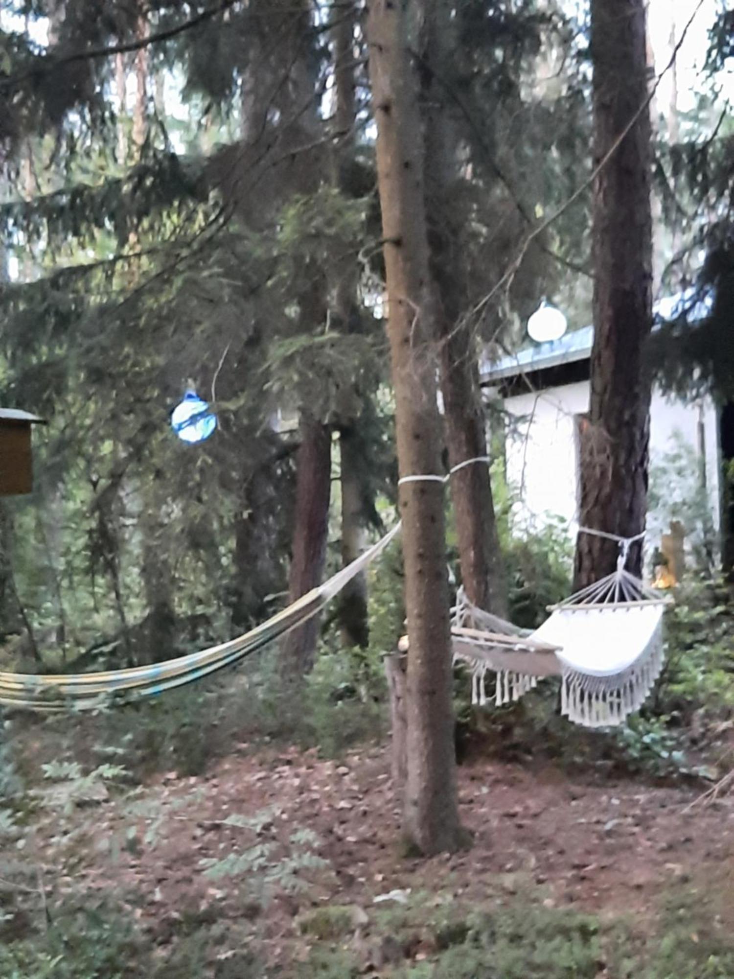 רודינג Bungalow Direkt Am See, Mit Eigenem Boot מראה חיצוני תמונה