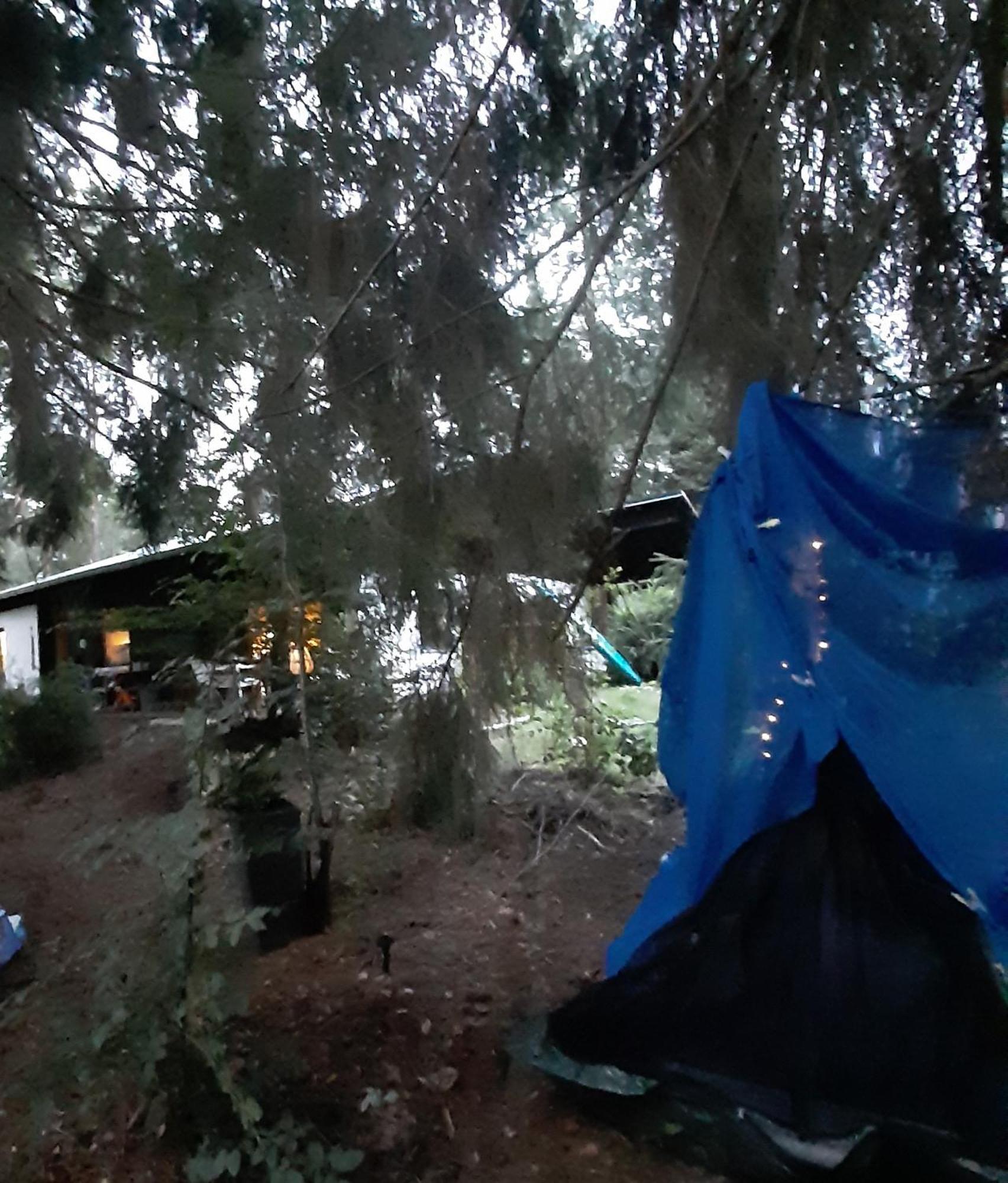 רודינג Bungalow Direkt Am See, Mit Eigenem Boot מראה חיצוני תמונה